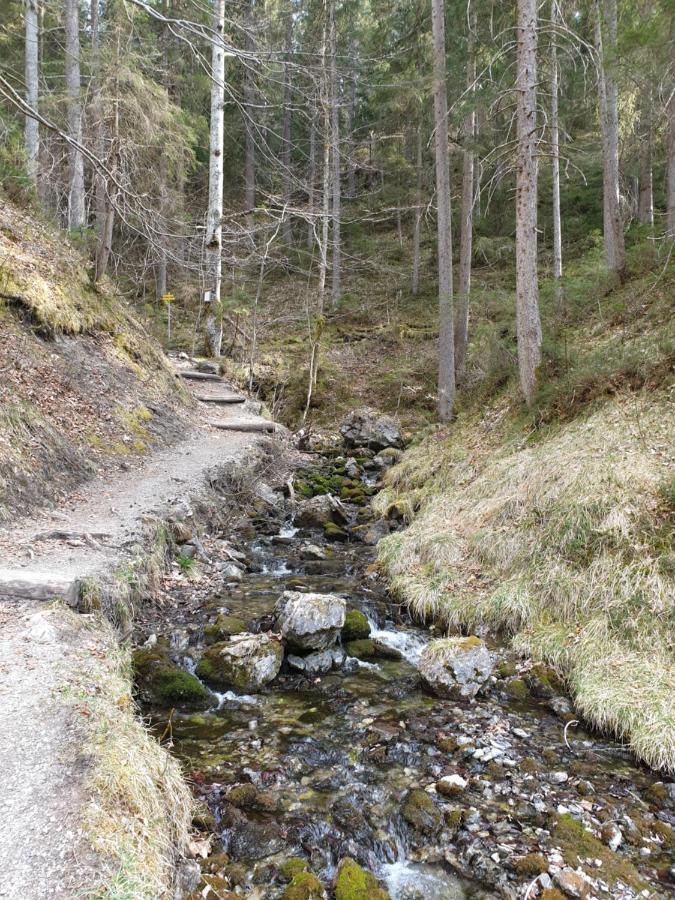 Apartmán Haus Guem Ehrwald Exteriér fotografie